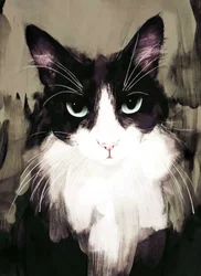 Regard intense de chat