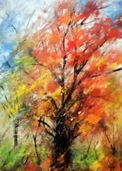 Un arbre aux couleurs chatoyantes en automne