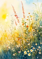 Fleurs de prairie aux couleurs éclatantes
