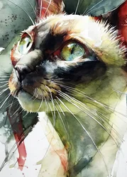 Le regard éclatant d
