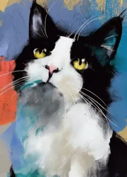 Chat « Tuxedo » aux couleurs vives