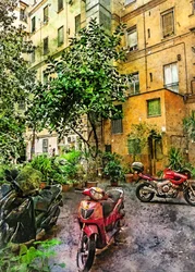 Une cour urbaine pleine de vie