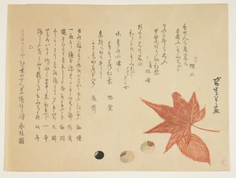 Feuilles et noix d