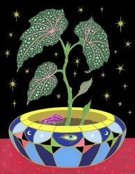 Bégonia en pot, 2021