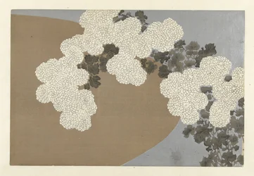 Chrysanthèmes, Momoyogusa, Fleurs de cent mondes (titre de la série), Momoyogusa, vol. 1 (titre de la série)