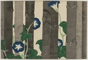 Fleurs de Cent Mondes (Momoyogusa) : Gloires du Matin