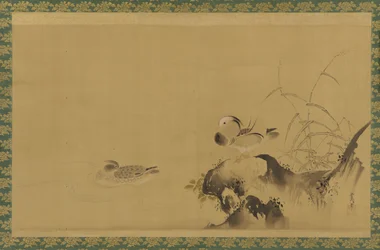 Canards mandarins dans un paysage