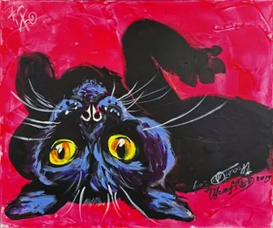 Chat noir curieux