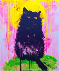 Chat noir mystique