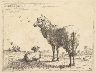 Un mouton mature en vue de trois quarts debout et regardant à gauche, à côté un agneau couché