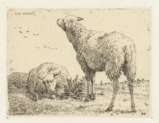 Deux moutons