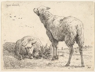 Deux moutons, l