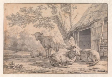 Moutons près d’une grange