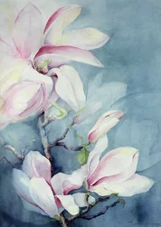 Magnolia Soulangeana (vertical)