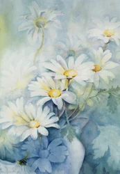 Marguerites, Alexandrie