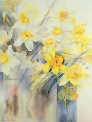 Jonquilles mélangées dans un réservoir