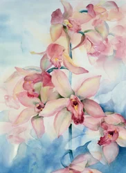 Orchidée Cymbidium Ramley