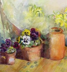 Pensées et pots en terre cuite