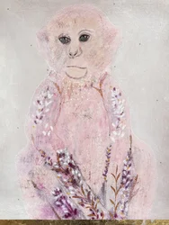 Pink Monkey Lavande