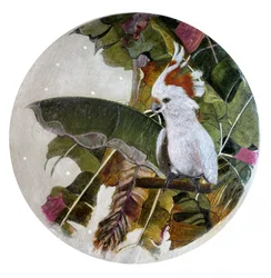 Cacatoès blanc dans la jungle