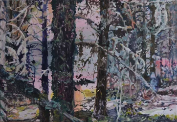 La lumière de la forêt enchantée