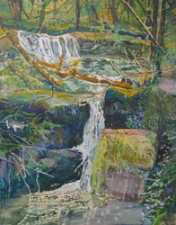 Une cascade dans la forêt avec un chat