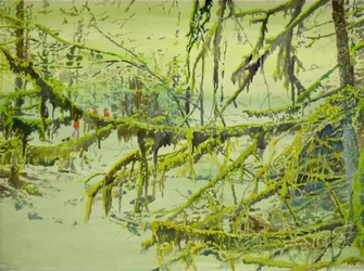 La forêt brumeuse et moussue
