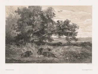 Animaux et paysage d