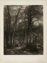 Dans la forêt