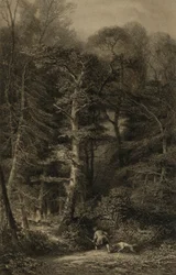Interieur de Forêt