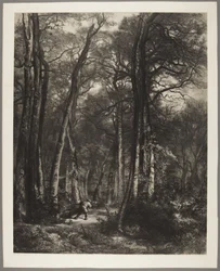 Homme dans les bois