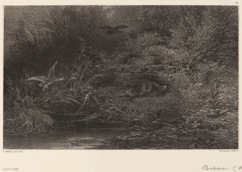 Renard à l