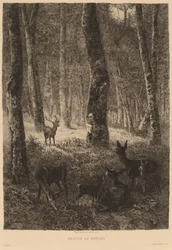 Retour au bercail
