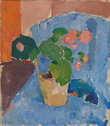 Nature morte au bégonia