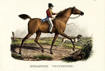Cheval de course anglais, 1824