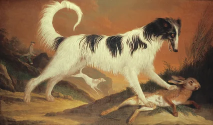 Chien et lièvre