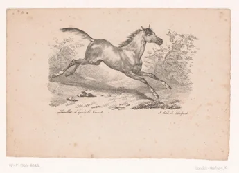 Cheval galopant dans le paysage