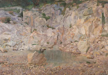 Le vautour dans les rochers
