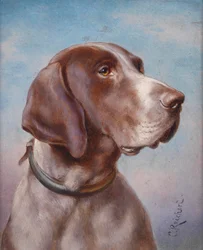 Portrait de chien