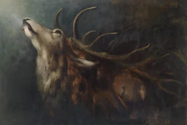 Cerf mourant