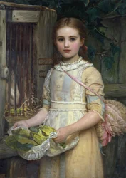 Nourrir le lapin