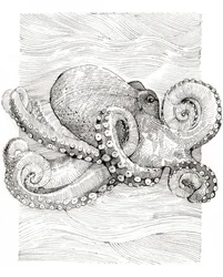 Dessin au trait de poulpe en noir et blanc