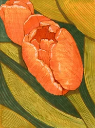 Tulipes orange vives avec dessin au trait de feuille verte