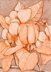 Fleurs orange hachurées