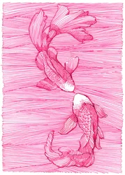 Danse des koïs roses