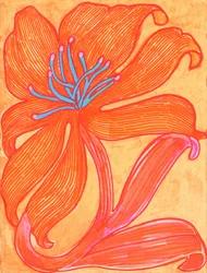 Lys orange éclatant