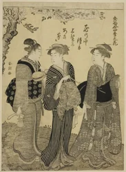Fleurs de cerisier au printemps, de la série "Les plus beaux odes aux fleurs des quatre saisons (Shuku awase, shiki no hana)"