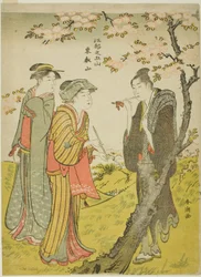 Colline de Toei (Toeizan), de la série "Cinq collines d