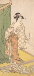 Segawa Kikunojo III