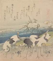 Palourde Ashi, de la série Genroku Kasen Kai-awase, 1821